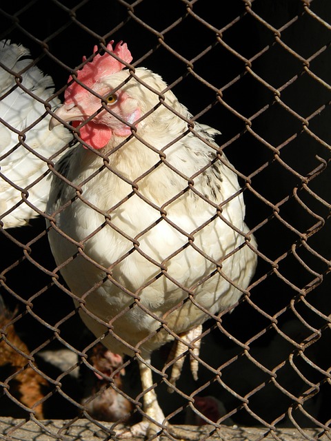 其他球员缺 其他球员缺