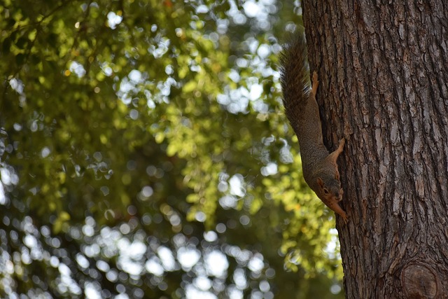 日職聯J1第2輪鹿島鹿角1-2川崎前鋒 川崎前鋒補時階段逆轉取勝！.
