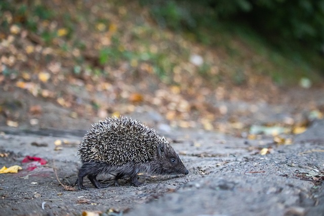 流感高发期来临 这份家庭消毒攻略请收好.