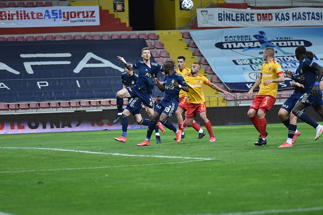 莎的对手 莎的对手