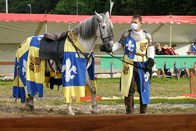 在近日的创 在近日的创