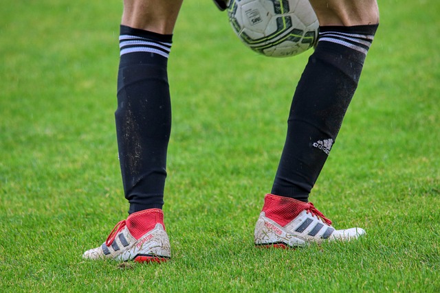 记者：因法律问题，西甲和西足协阻止了罗克加盟帕尔梅拉斯的交易.