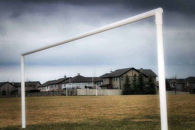 市場部項目 市場部項目