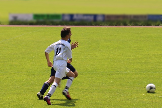 不提出上诉 不提出上诉