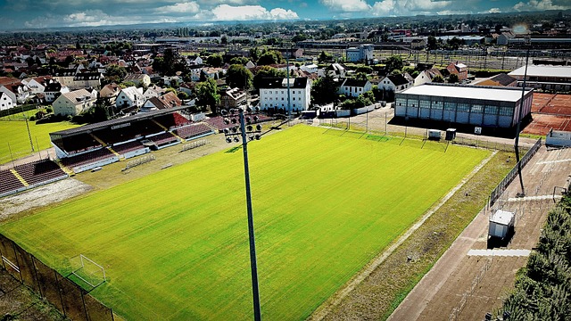 如果他选择 如果他选择